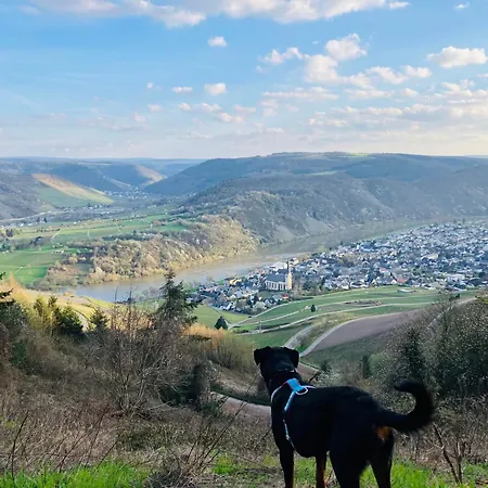 Apartmán Neu - Im Winzergarten *