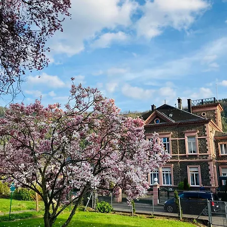 Apartmán Neu - Im Winzergarten