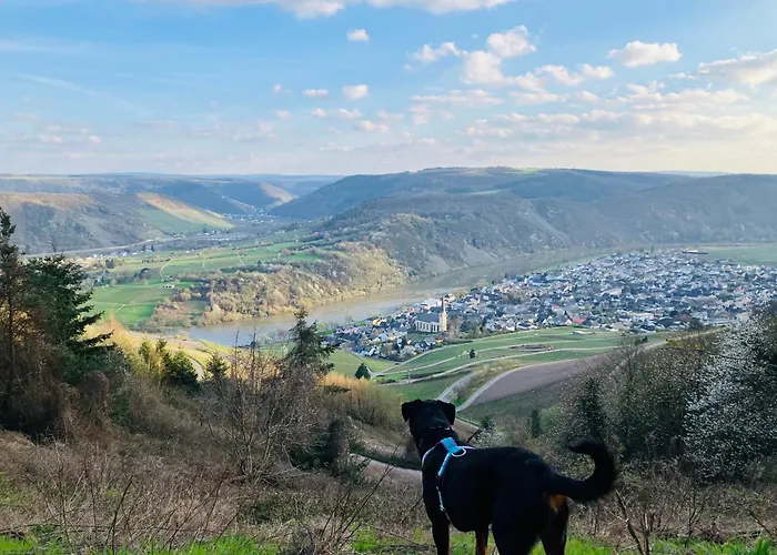 Apartamento Neu - Im Winzergarten *