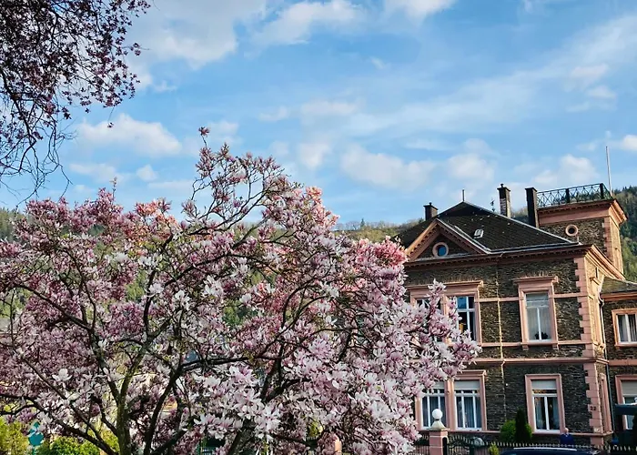 Apartamento Neu - Im Winzergarten